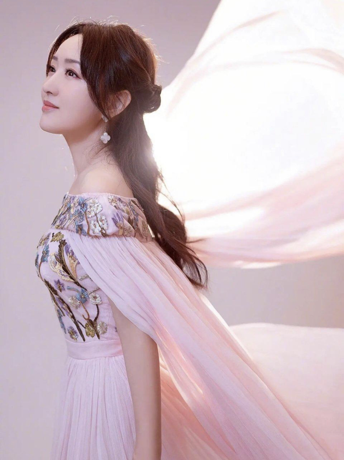 杨钰莹年轻时的盛世容颜还在吗,杨钰莹年轻的时候什么样子