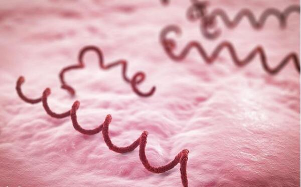 梅毒的外表,梅毒的五大传染途径