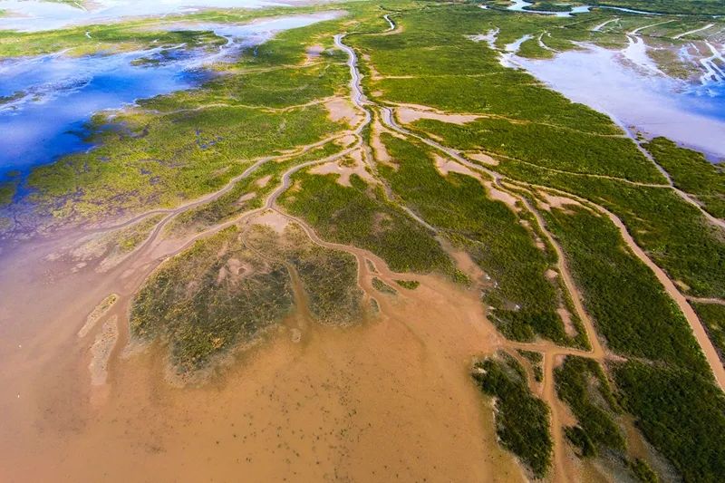 神奇盐城黄海湿地，600年前被施耐庵装进了《水浒传》|方志江苏
