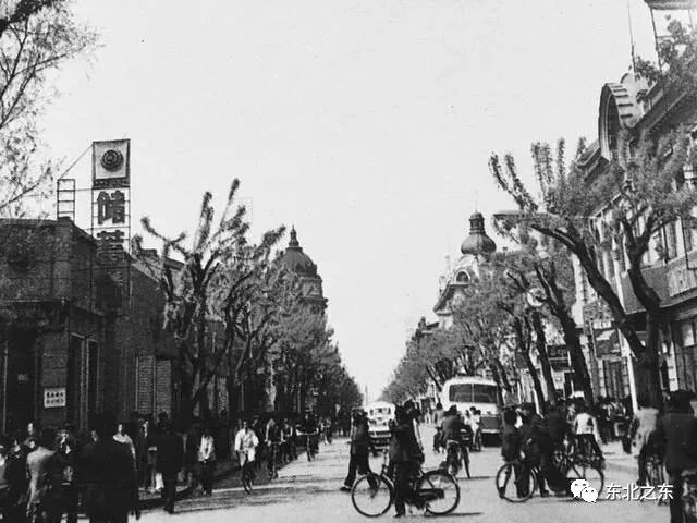 80年代的哈尔滨你还记得吗,哈尔滨70年代视频