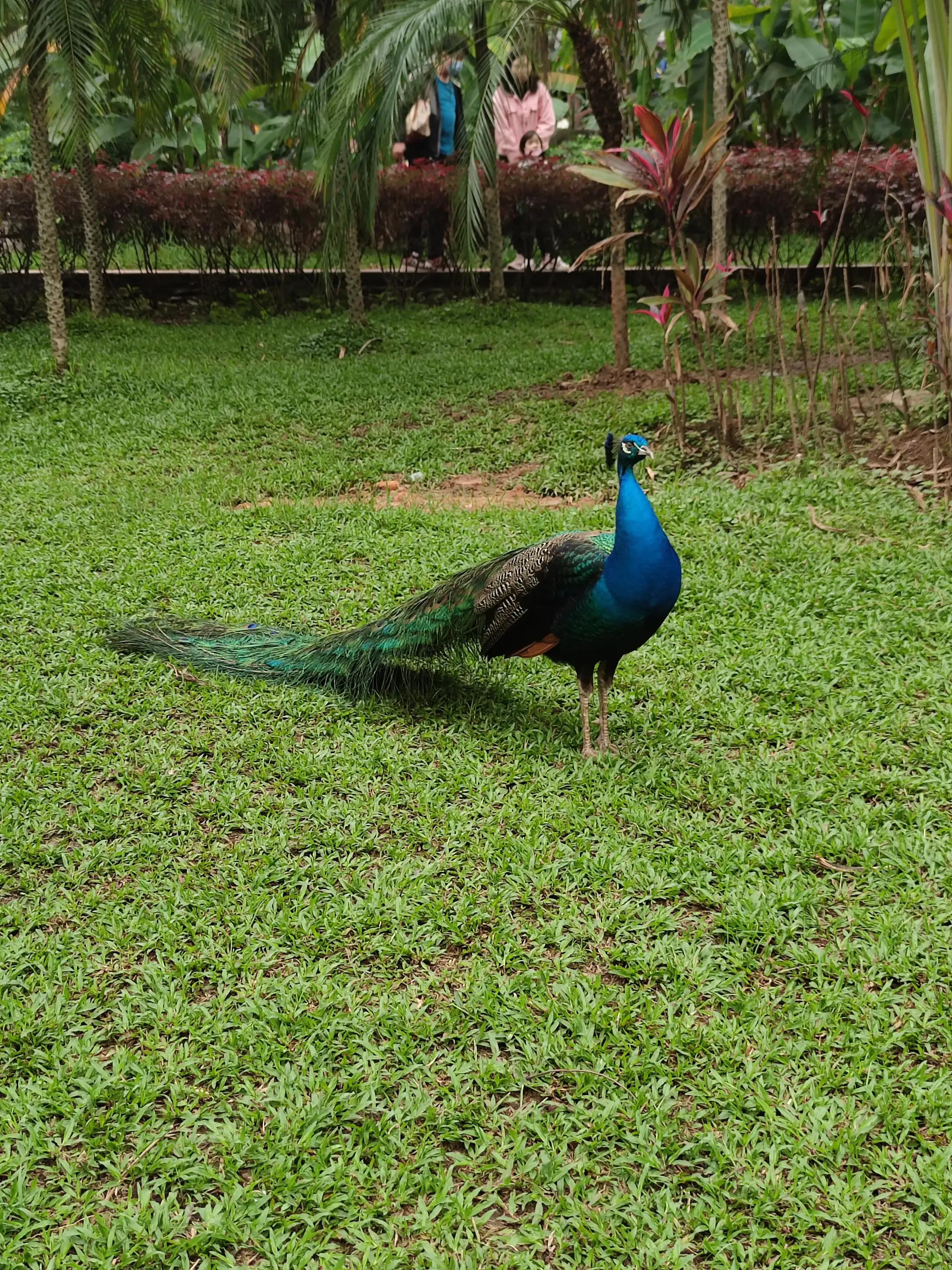 朋友圈结婚文案高级感,朋友圈结婚文案