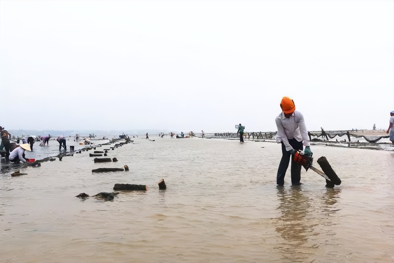 许书标和颜斌生产的红牛饮料,红牛创始人许书标几个儿子