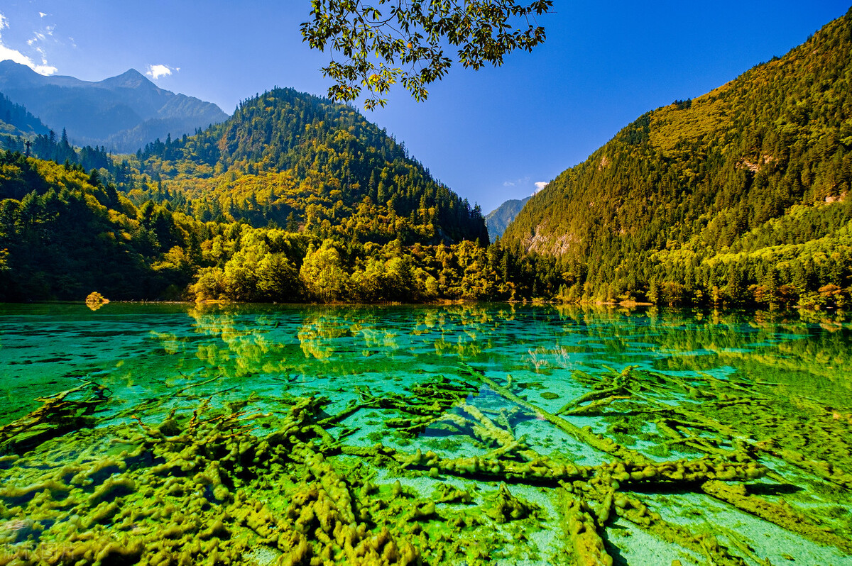 五一去九寨沟，这样安排，只需2.5天，避开拥堵，省钱还不累