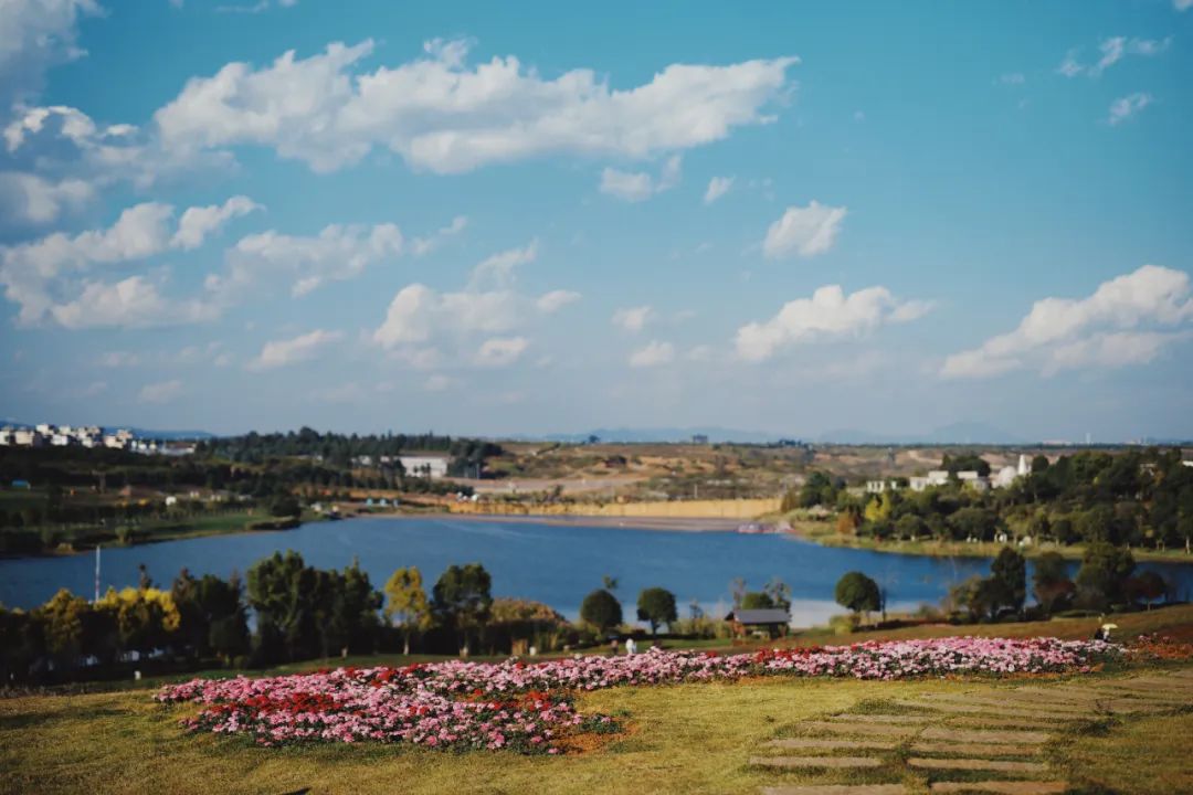 好吃好逛的避寒首选地，没有城市能成为它的平替