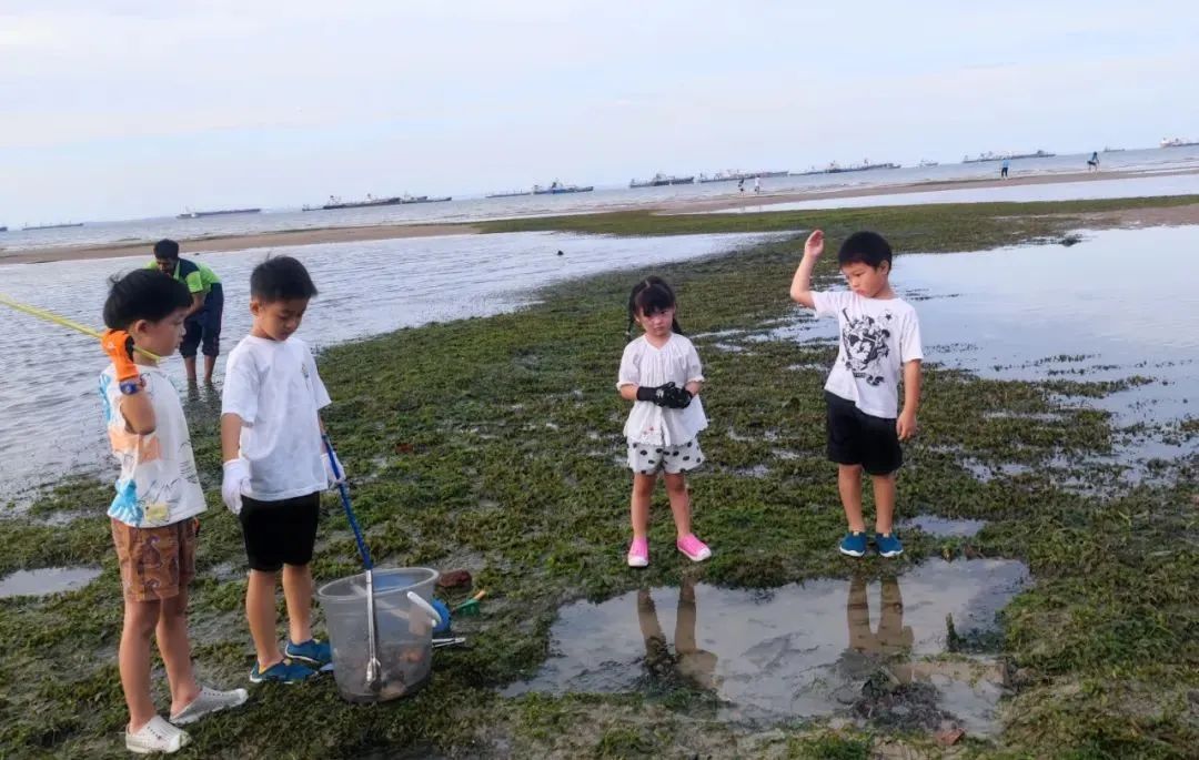 赶海被海胆刺到,赶海被海葵蜇伤