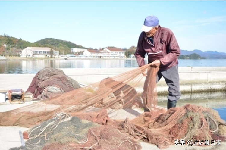 在中国张同学火了，最近在日本这位91岁的渔民火了