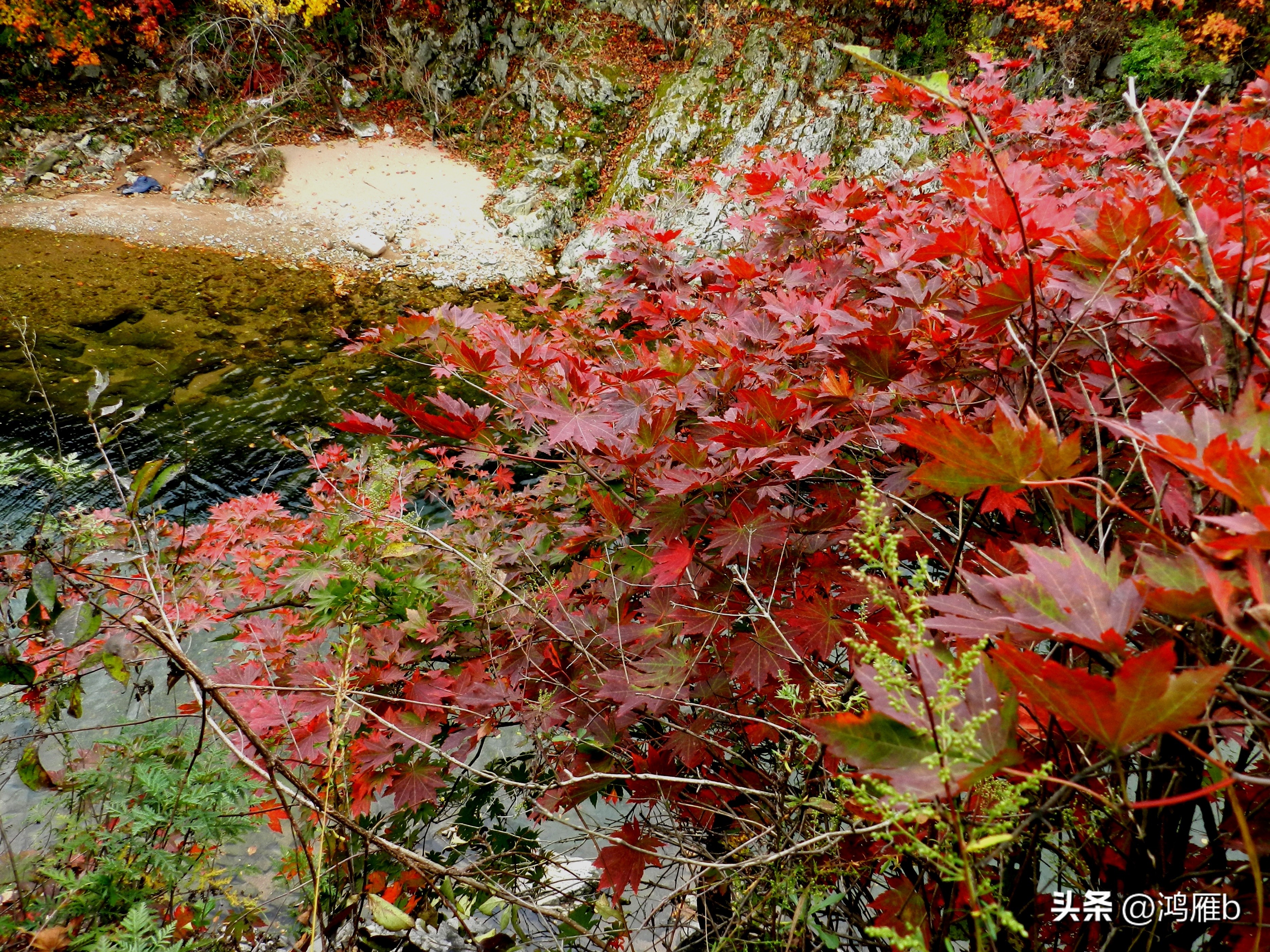 本溪温泉汤沟门票价格,本溪花溪沐枫雪温泉小镇