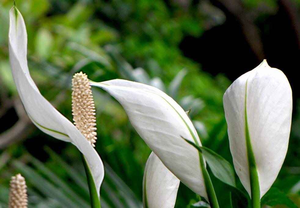 古今中外最著名的十首诗,古今最经典的十首诗
