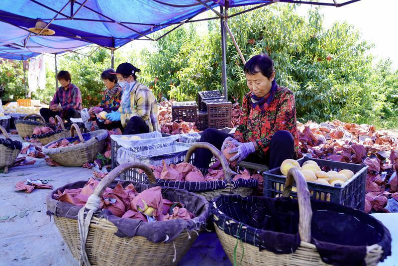 村村通快递实现了吗,发展农村寄递物流