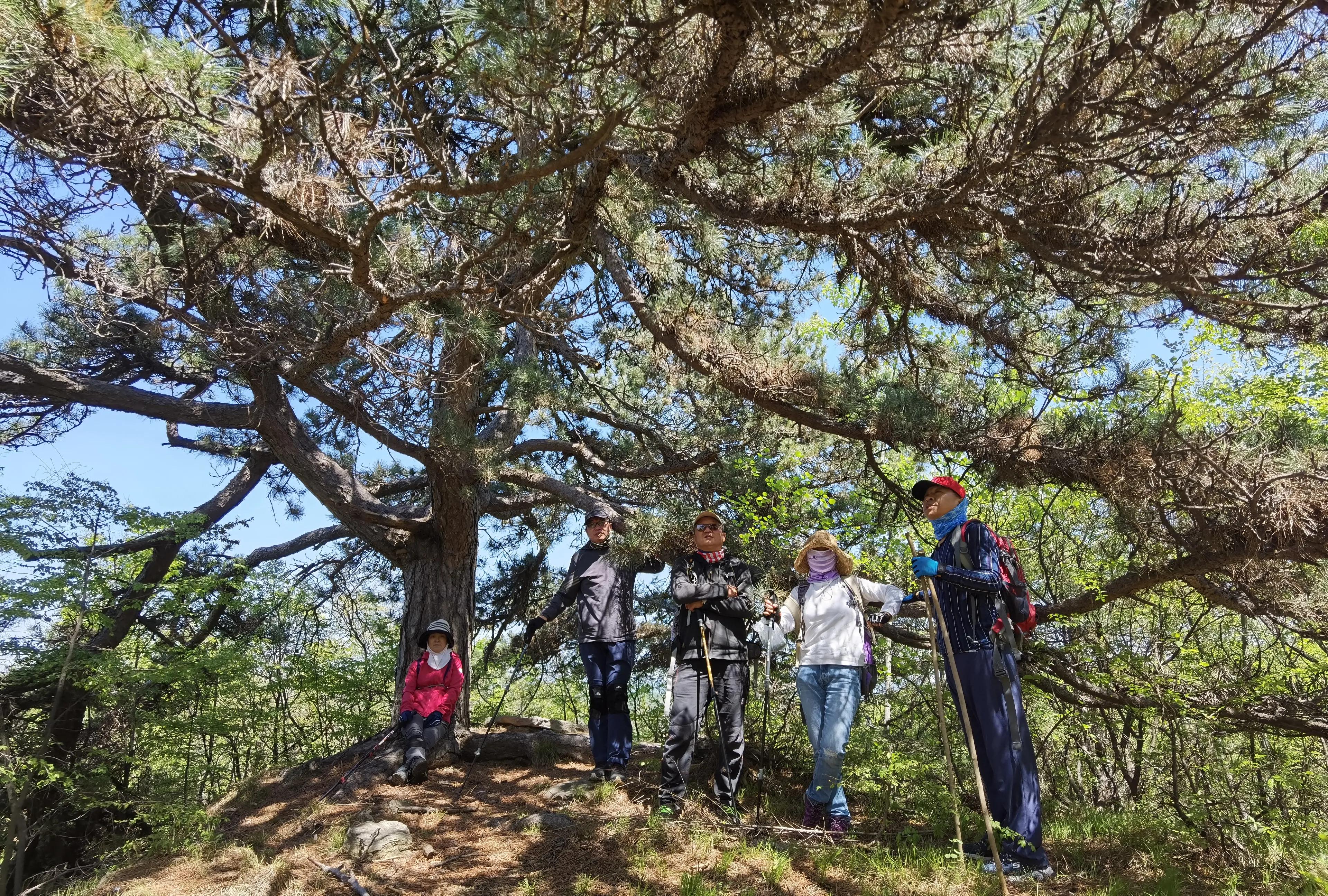 灵岩大佛山徒步,徒步灵岩山寺美篇