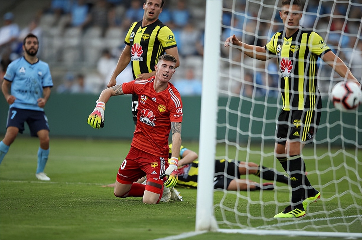 今日澳甲西部联vs惠灵顿,澳洲甲西部联vs阿德莱德比分多少