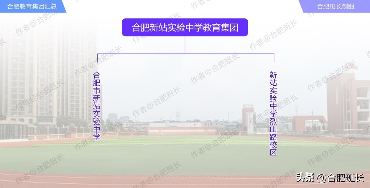 一文读懂合肥52个教育集团(教师集团内部轮岗),班长吐血整理!