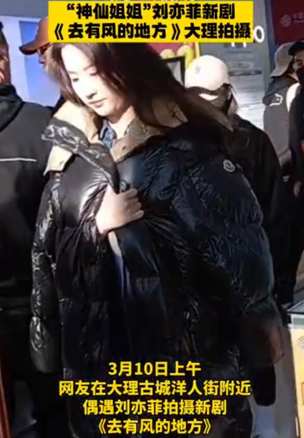 刘亦菲怼脸高清未修图曝光,刘亦菲自拍感觉和真实脸型差很多