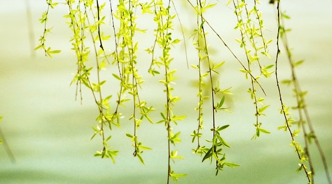 一分钟看懂清明节,清明节是怎样来的