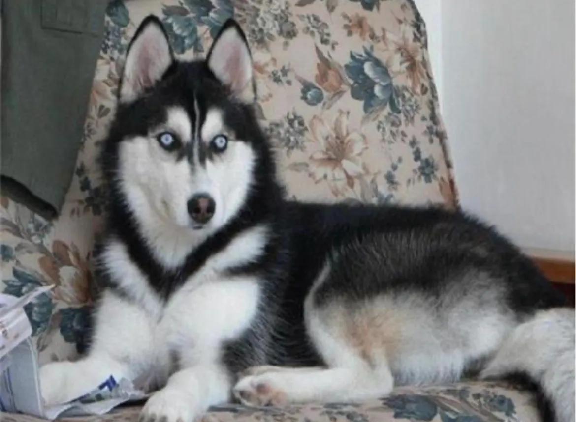 给女老板的幽默笑话大全,跟女友上班幽默笑话