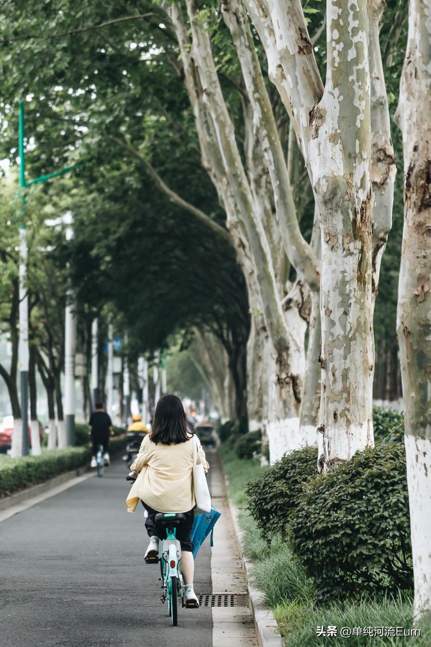 再见南京演唱,南京仙林回忆