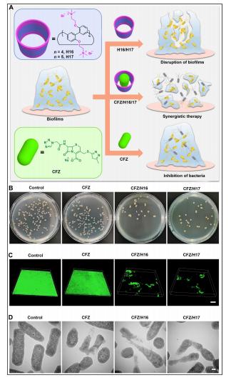 PXG/H13在非共价相互作用下，是如何有效阻止PXG反应的