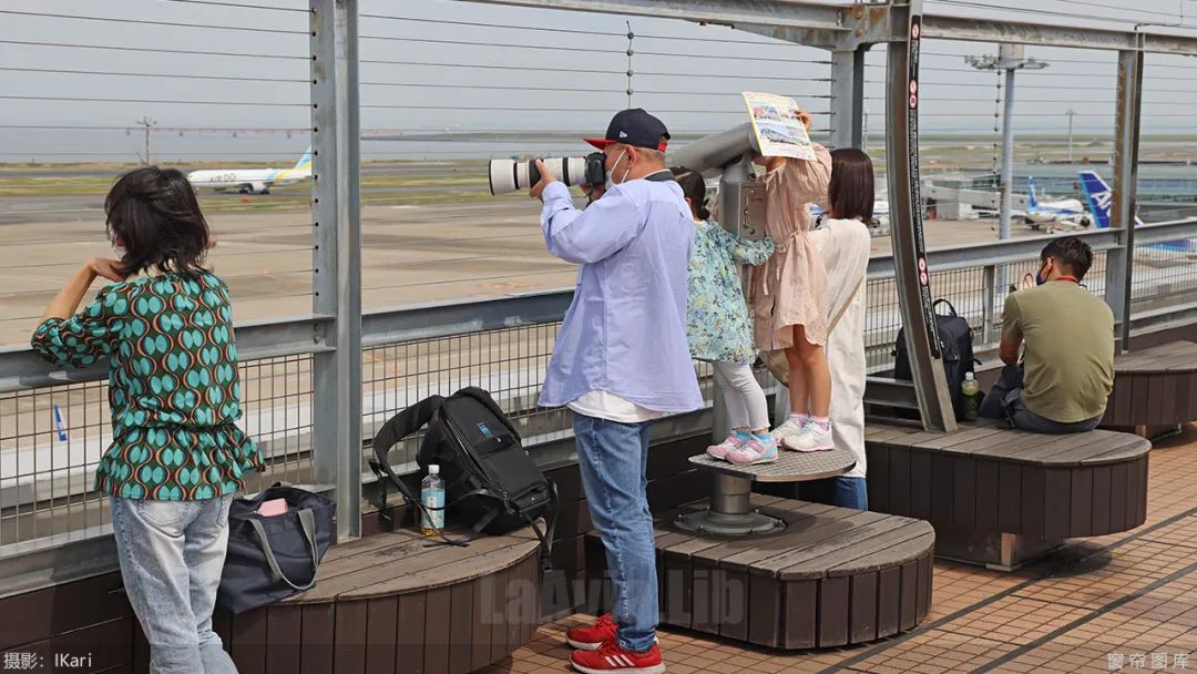 鏃ユ湰椋炲弸,椋炲弸鍊煎緱鍘荤殑鍦版柟