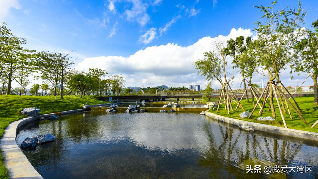 珠海春游赏花,珠海周边踏青景点