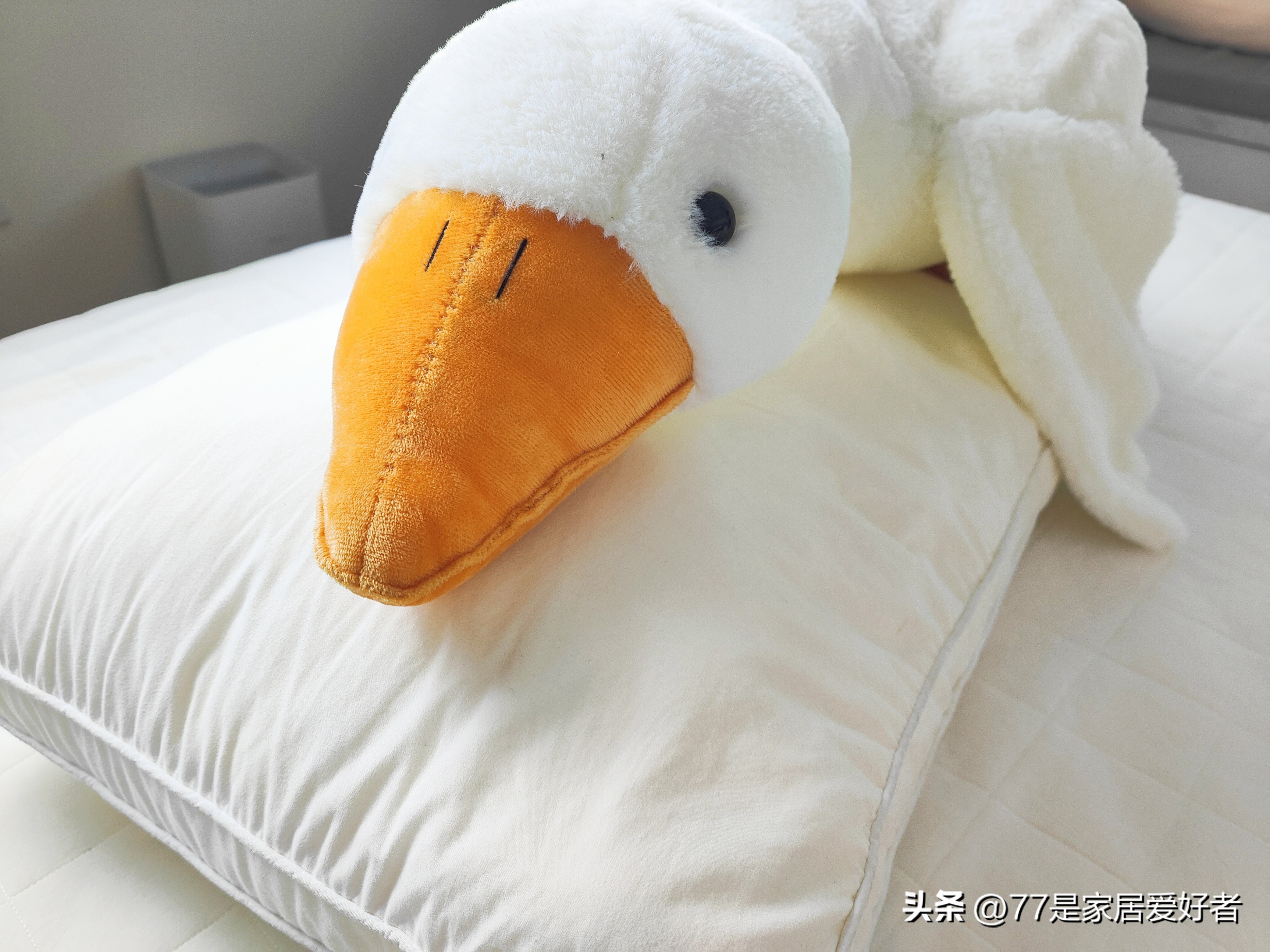 选一个舒服的枕头真的太有必要了,什么样的枕头睡得舒服又便宜