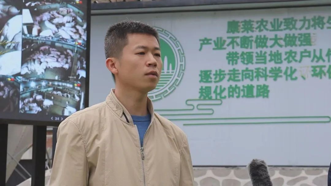 凝神聚力真抓实干推动高质量发展,聚焦三年行动凝神聚力促发展