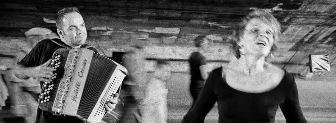 高磊绽放青春,高磊临朐