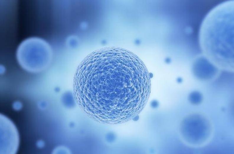 夫妻性传播疾病有哪些,得了性传播有哪些症状