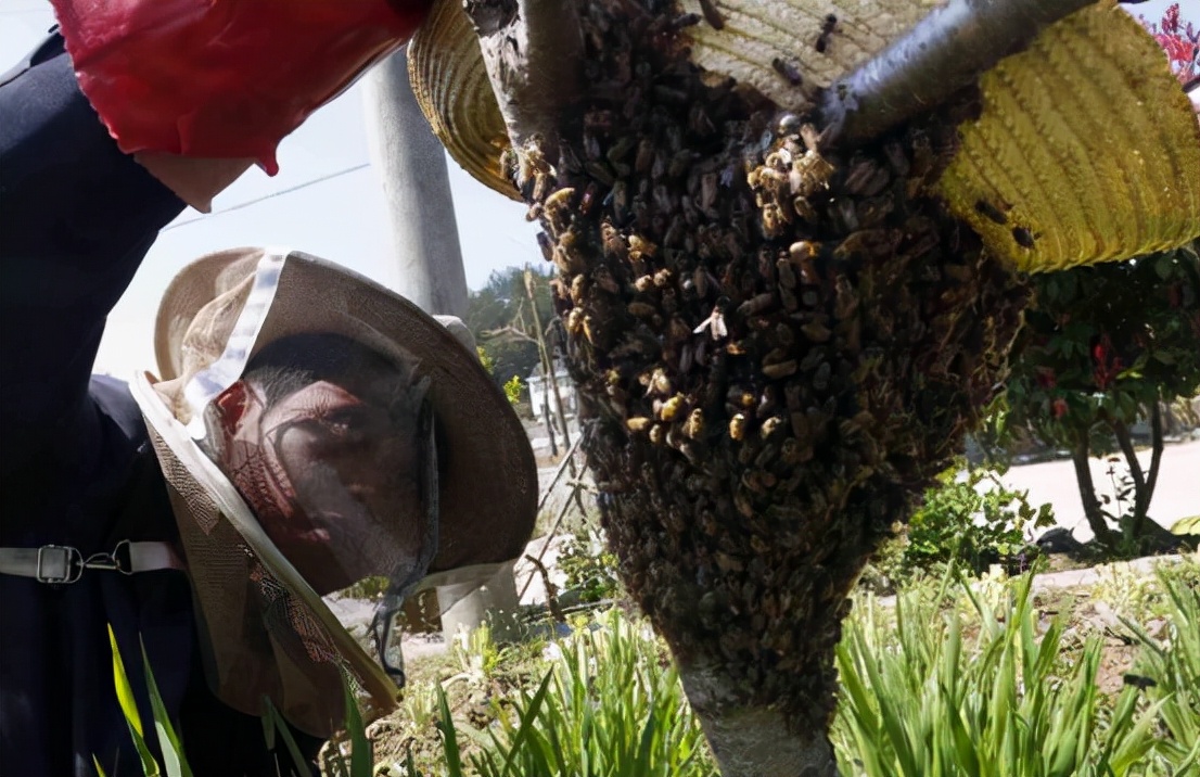 一天挣1000的搬运工,一天赚1000的工作