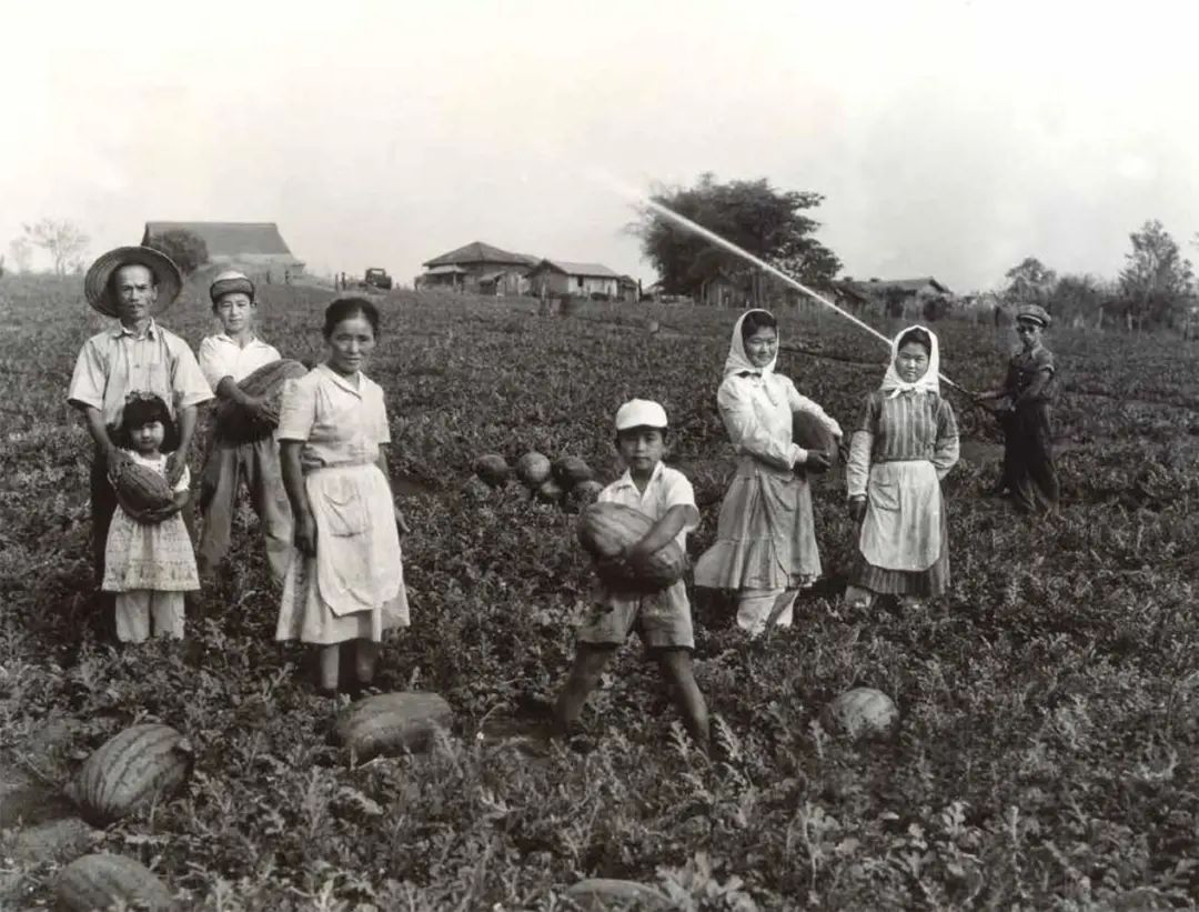 为什么巴西足球人才那么多,巴西为什么足球那么厉害