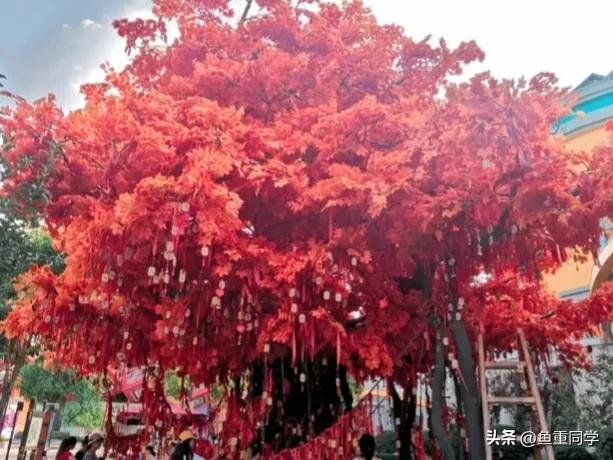 今天三月初七,你知道是什么日子吗?老祖宗的谚语怎么说