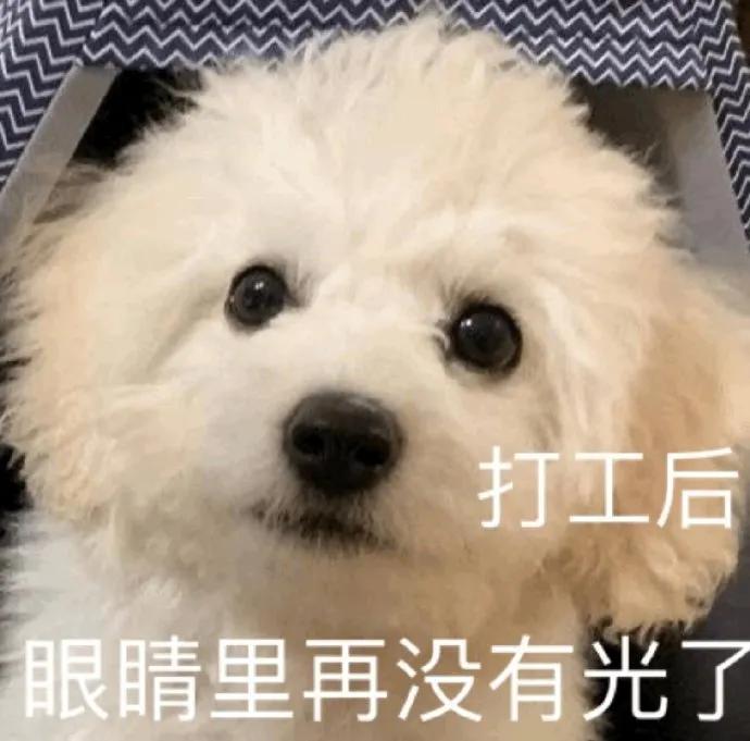 发射爱心然后躲开的表情包,蹦爱心发射表情包