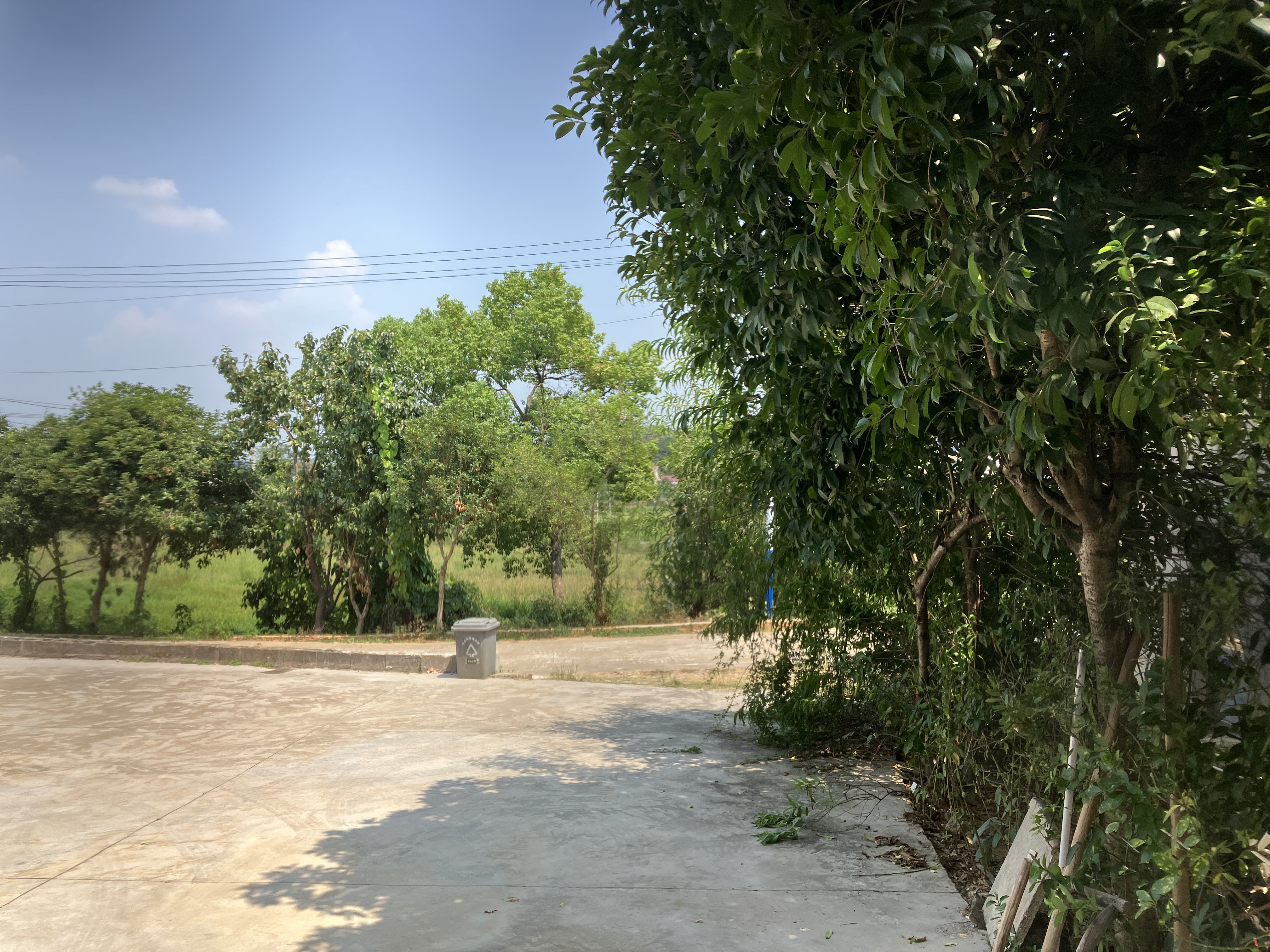 iphonese2022,iphonese2022手表评测