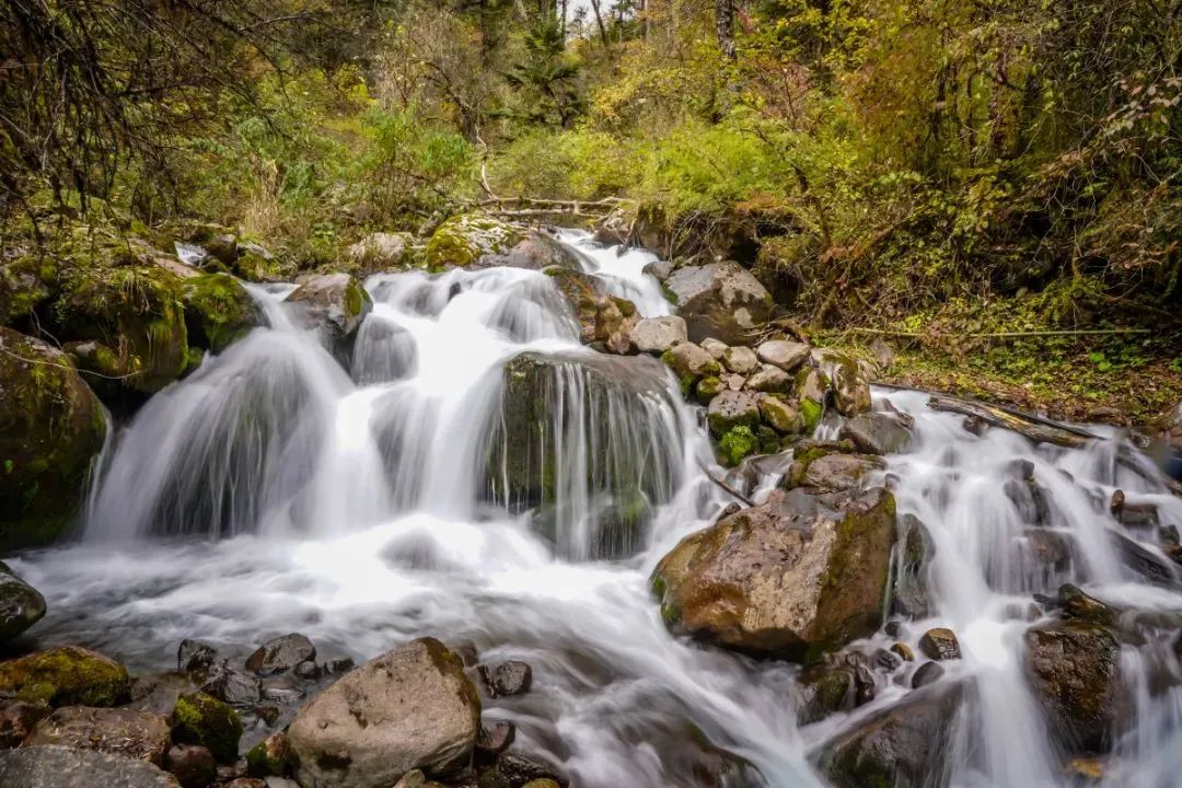 火出了圈,甘孜文旅局长化身侠客火出圈