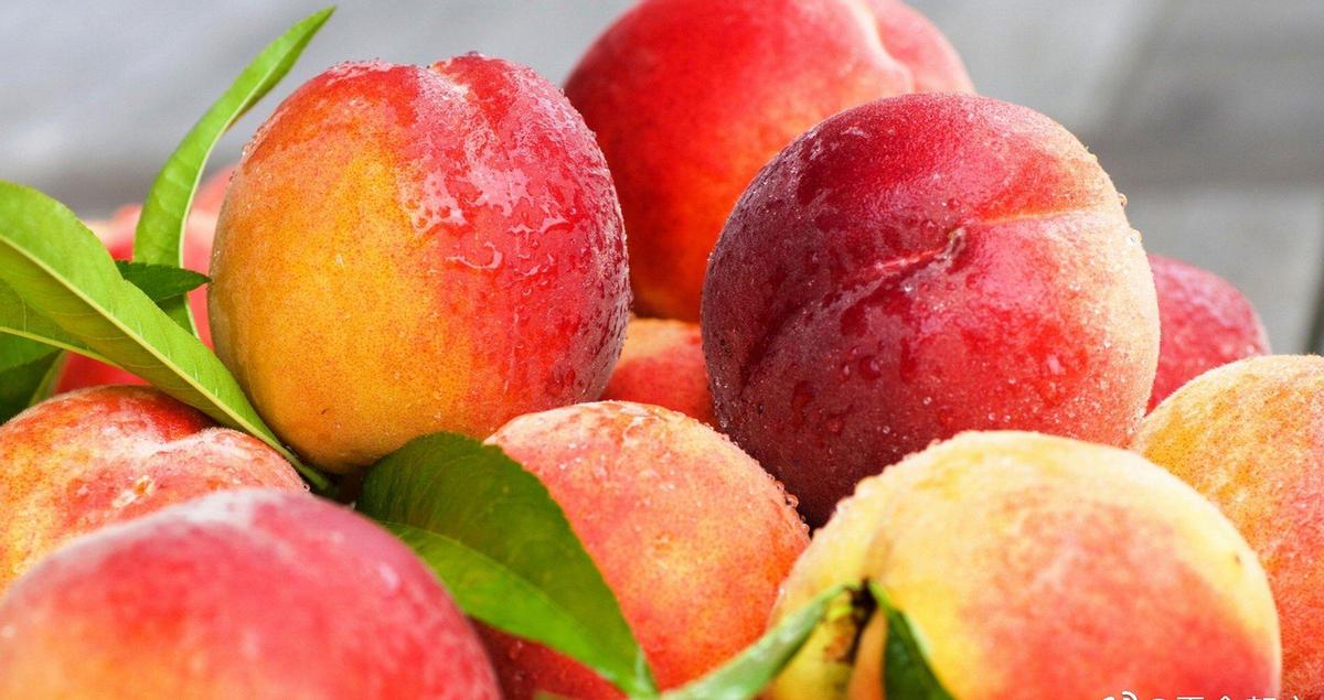 1945年美军摄影师,外国人拍摄延安时期老照片