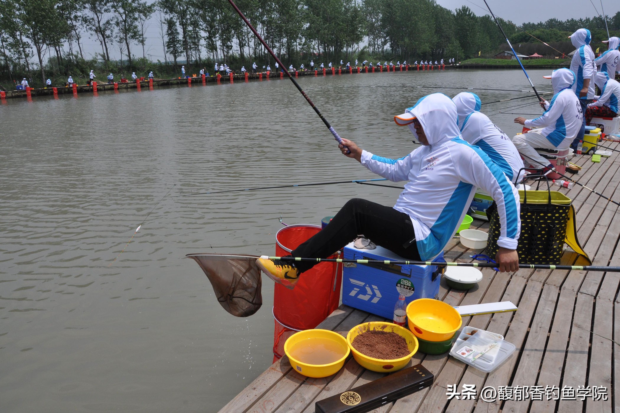 黑坑钓鲤鱼怎么规避小鱼,黑坑鲤鱼上浮不给飞铅怎么钓