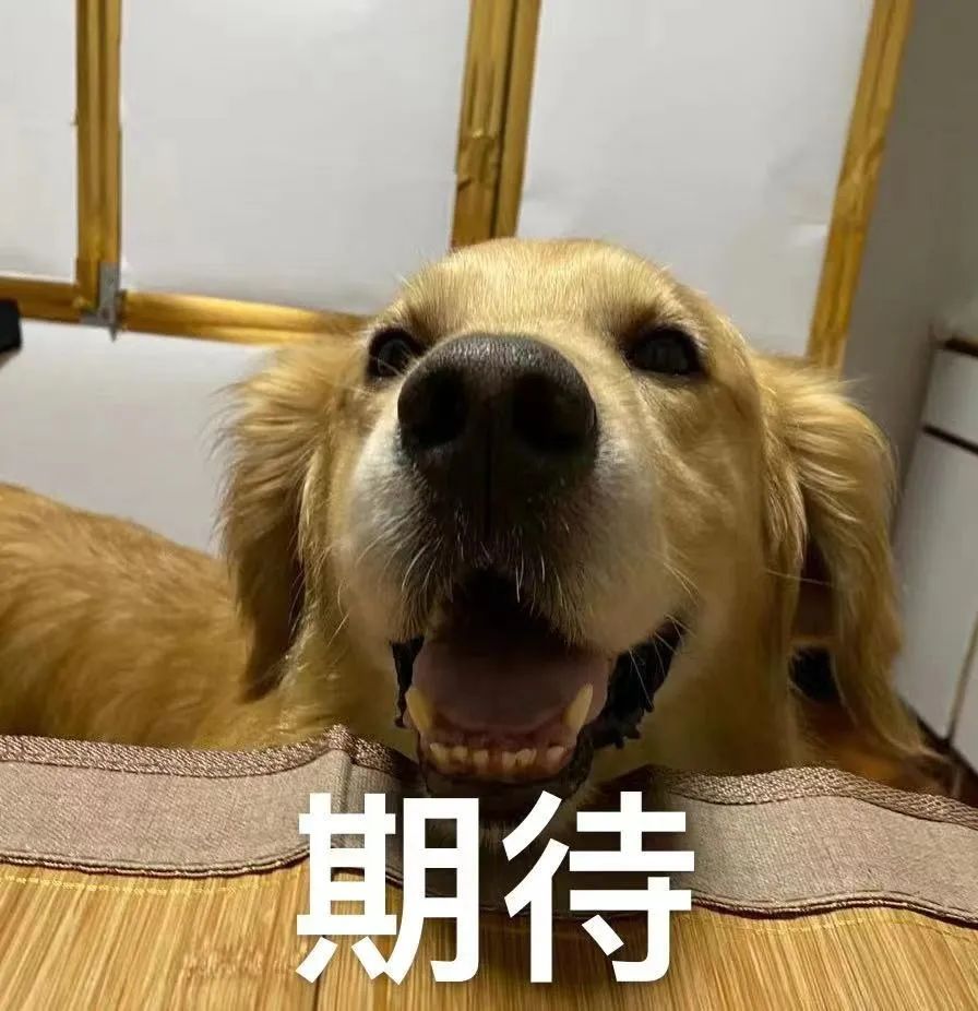 300万汽车消费红包！先到先得