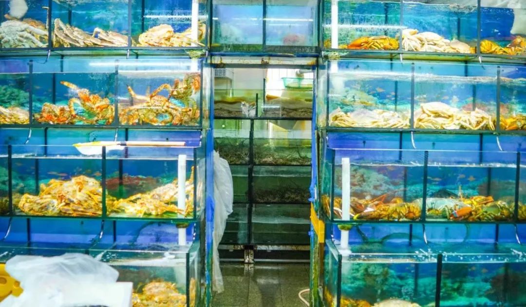 85后敖哥在澳洲：卖海鲜开餐厅，负债20万，远赴海外开卡车