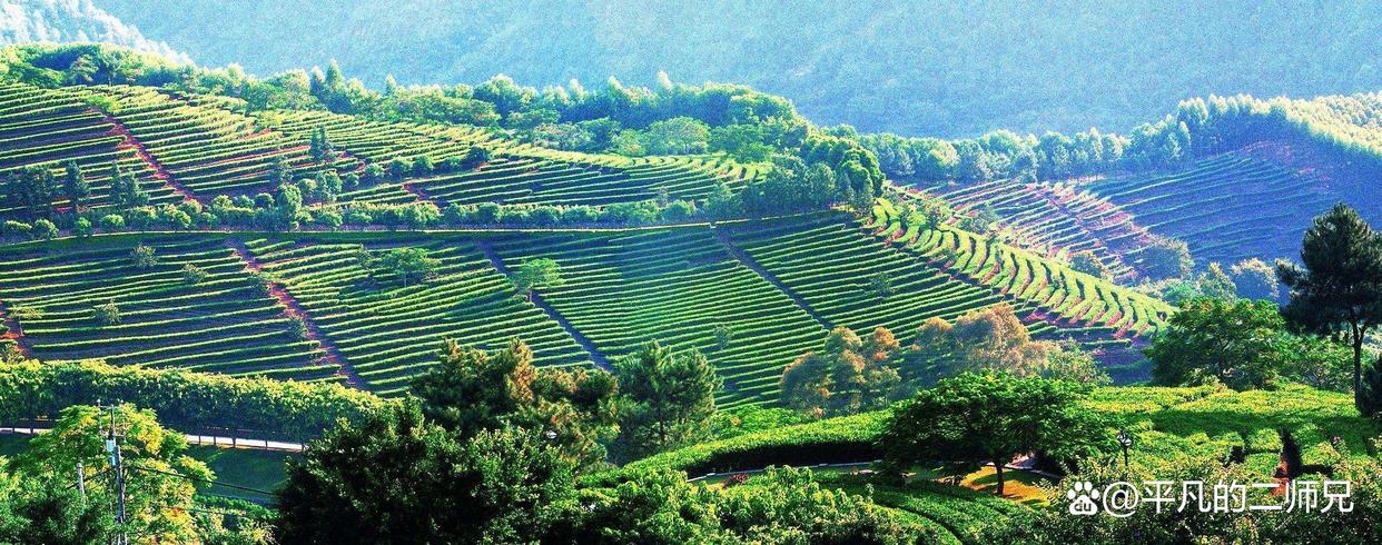 梅州客天下最好玩的旅游区,梅州客天下五大景点