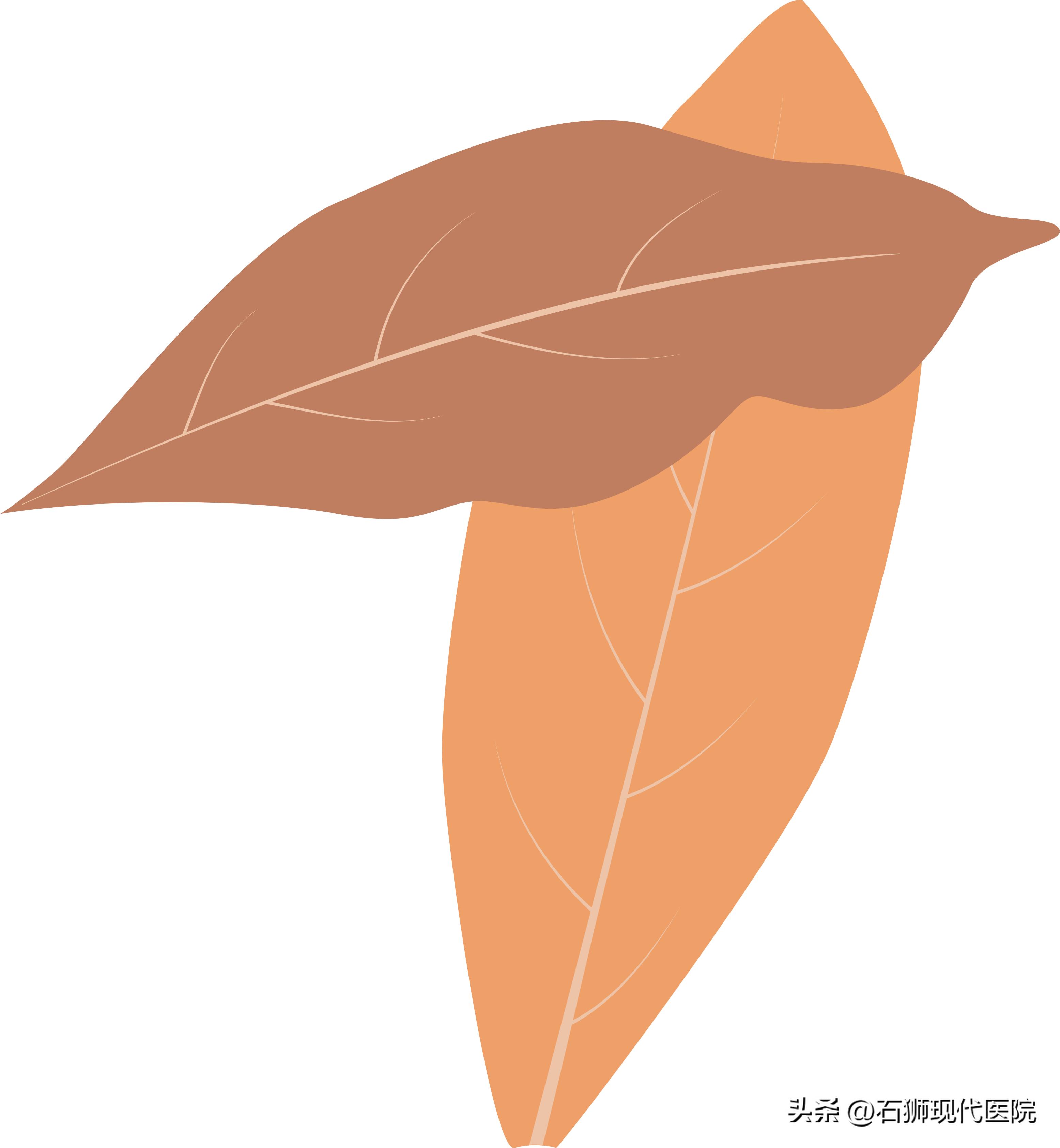 @石狮女性！意外来临怎么办？关于人流手术看这一篇就够了