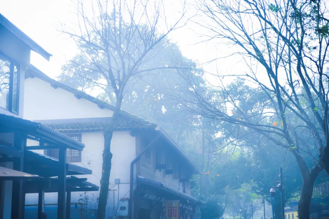 哪些适合发朋友圈的绝美诗词,形容人美的不可方物的诗词