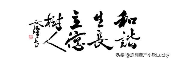 深圳中心天元最好的户型,深圳中心天元539平户型图