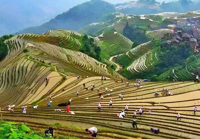 桂林导游自驾游,桂林当地导游攻略一日游免费预约