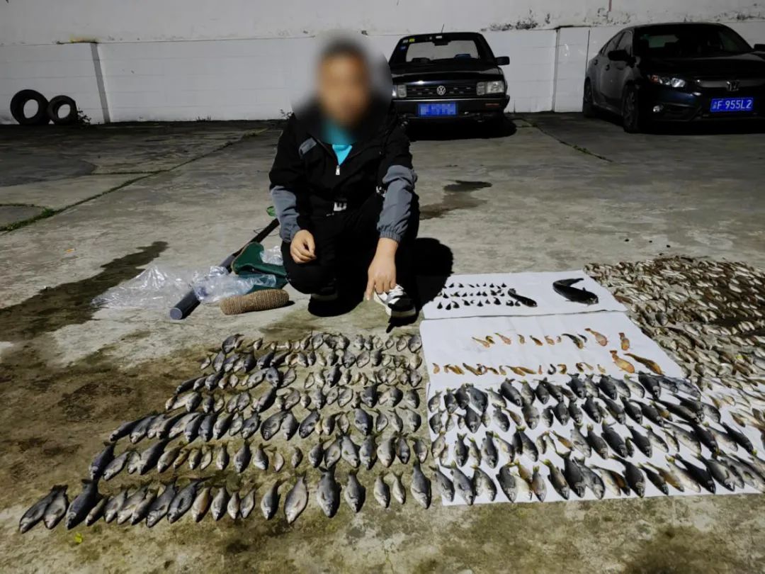 一晚电鱼600多条！万州3名“捕鱼达人”被抓现行