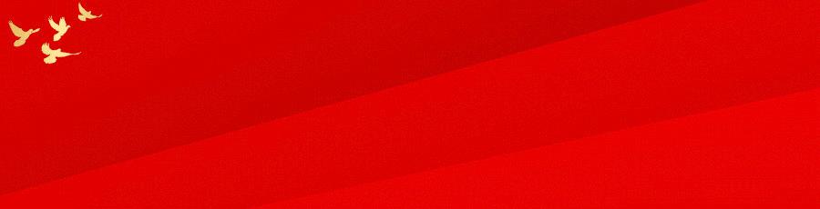 防范电信诈骗守护金融秩序,维护网络安全防范网络犯罪