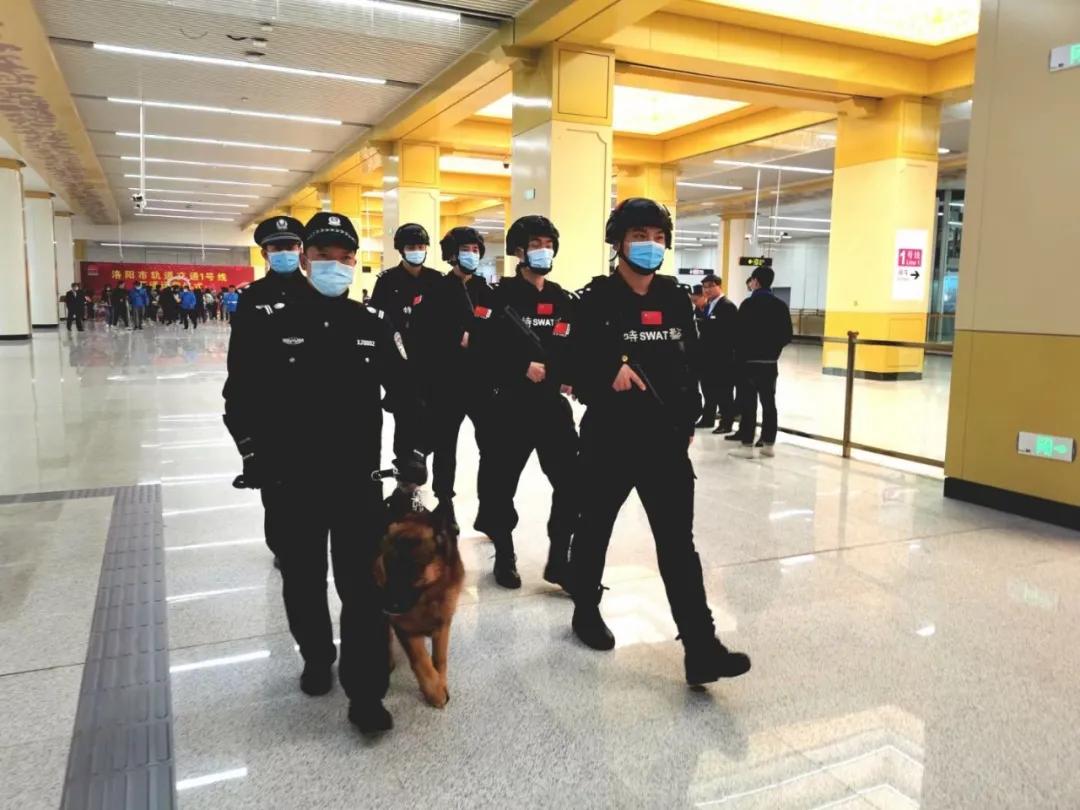 豫见豫警,豫见豫警最新新闻