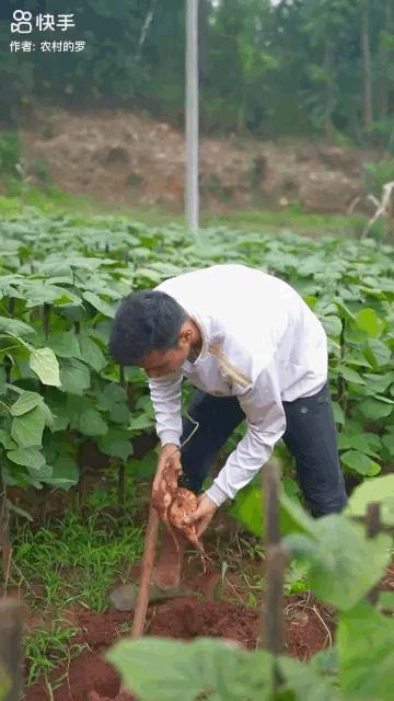 90后小伙酷似梅西,新疆90后足球小伙酷似c罗吃鸡