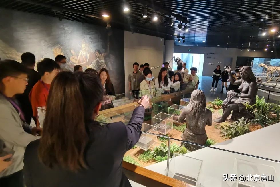 青创赛挑战杯,青创北京挑战杯是由指导老师带吗