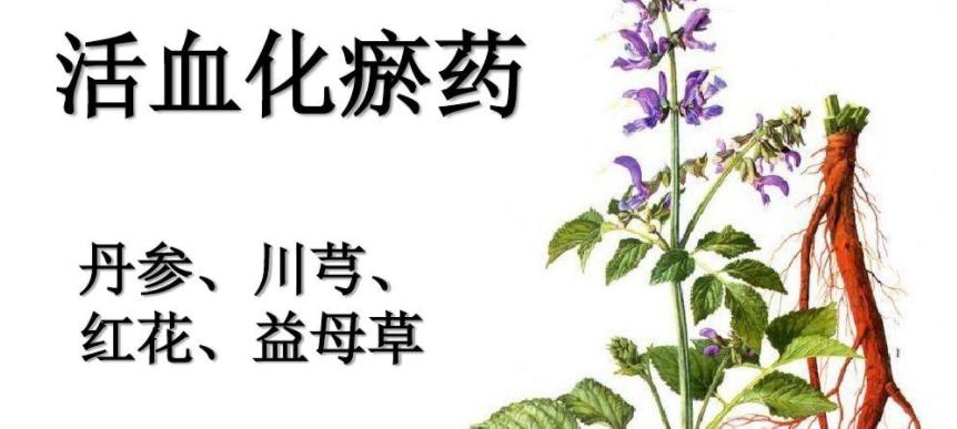 胸闷气短心绞痛中医调理,中医治疗冠心病用药