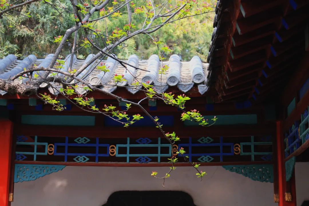 关于夏雨的好诗句十个,关于夏雨的经典古诗词