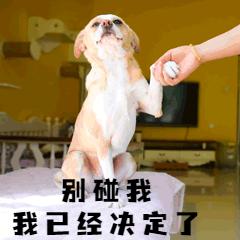 如果用四个字形容人生怎么说,如果用四个字形容我你会怎么形容